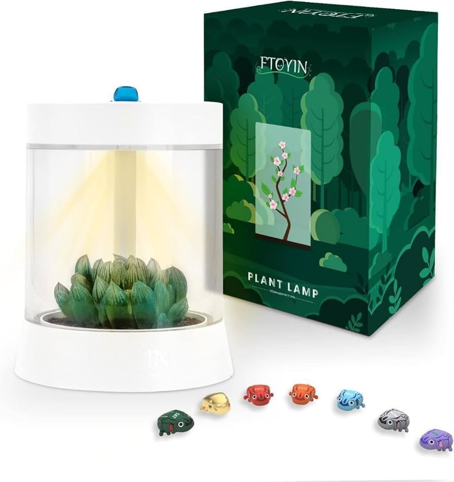 癒し植物ナイトライトグロウライト付き多肉植物の鉢 植物育成 LED USB Amazon.co.jp: 癒し植物ナイトライトグロウライト付き多肉植物の